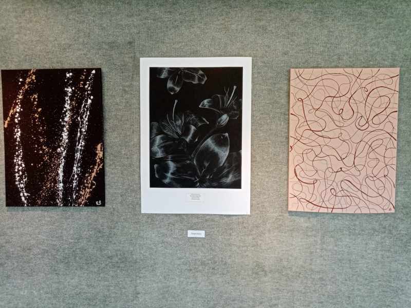 Ročníkové práce 4.PAB 10