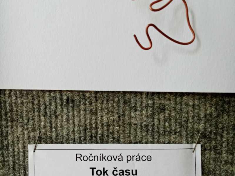 Ročníkové práce 4.PAB 24