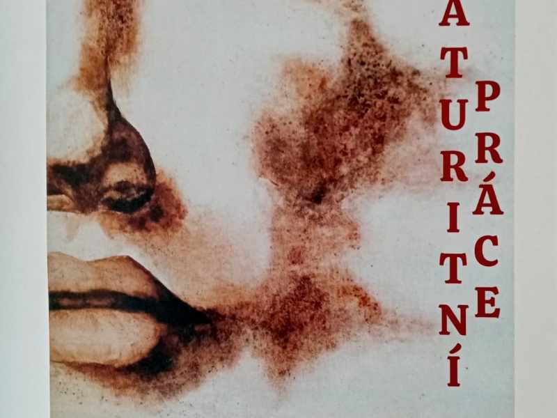 Výstava maturitní práce 01