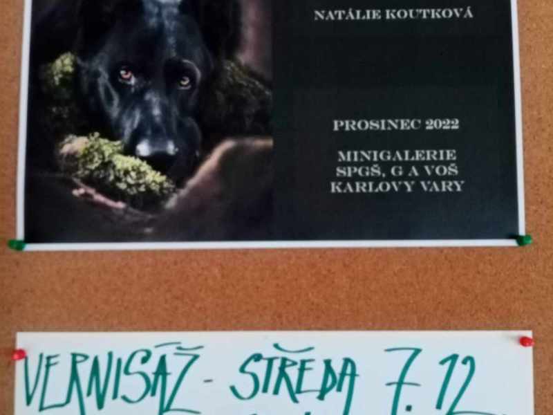 Vernisáž N. Koutkové 1