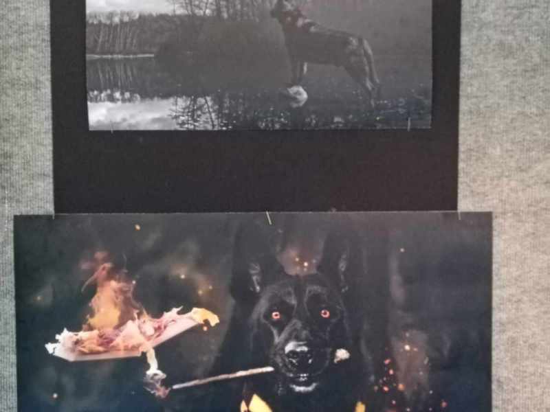 Vernisáž N. Koutkové 10