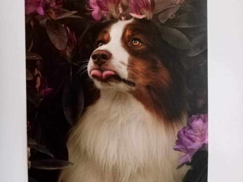 Vernisáž N. Koutkové 11